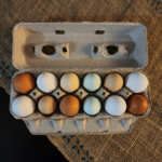 egg carton rainbow mix