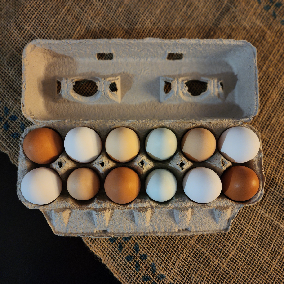 egg carton rainbow mix