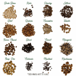 evermoonacres fall seed kit florida seeds